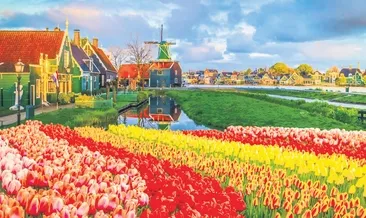 50 milyar dolarlık ortak Hollanda