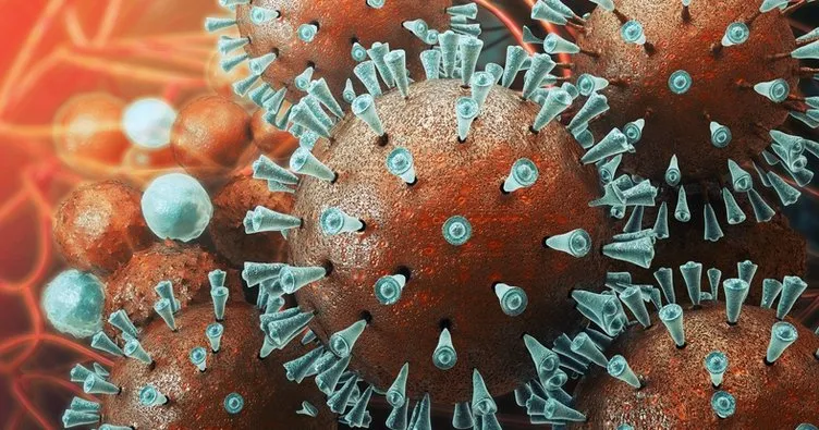 Corona virüs nasıl ortaya çıktı? Korona virüs ilk olarak nerede ve ne zaman görüldü, nasıl bulaştı ve yayıldı?