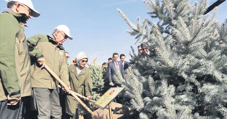 Yeşil vatan için tarihi seferberlik: 2030 hedefi 10 milyar fidan