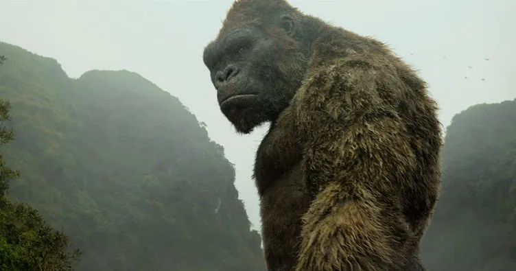 Kong: Kafatası Adası filmi konusu ve oyuncuları || Kong: Kafatası Adası filmi konusu nedir, oyuncuları kimler?