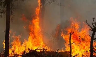 Rusya’da orman yangınları kontrol altına alınamıyor