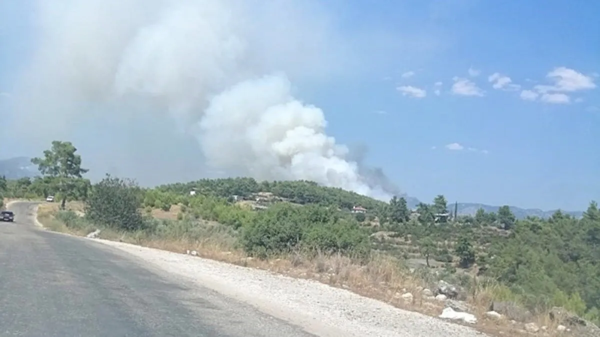 Antalya'da orman yangını! Bölgeye ekipler sevk edildi