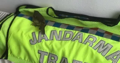 Minik kızılgerdan kuşunu Jandarma kurtardı #duzce