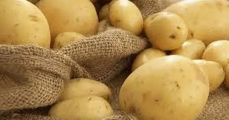 Son Dakika: Yerli patates çıktı, fiyatlar düştü