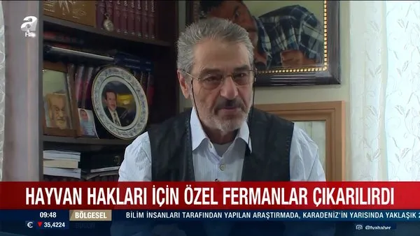 Osmanlı'da hayvan hakları devlet güvencesindeydi