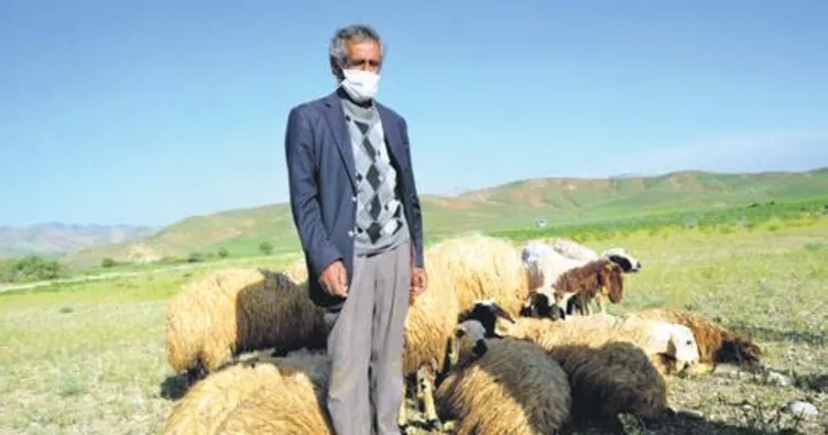 Bekir amcaya 20 koyun hediye edildi