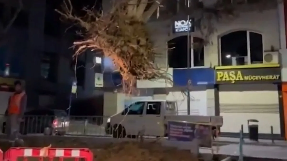 İBB gece yarısı ağaç söktü tepkiler ardı ardına geldi