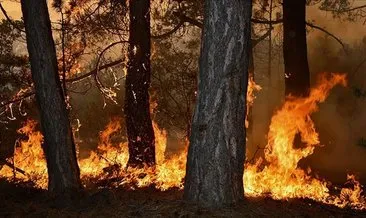 AKOM’dan orman yangını uyarısı