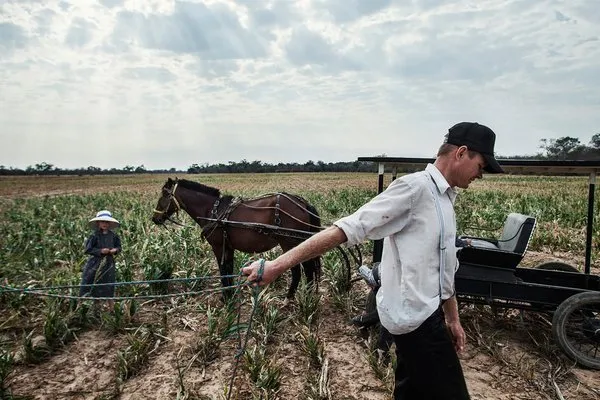 Mennonitler'in gizli yaşamı