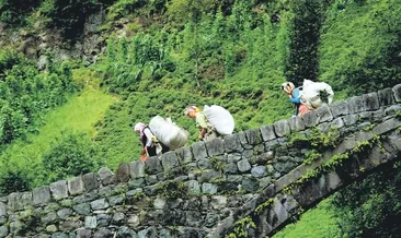 Fotoğraflarım gelecek nesile mirastır