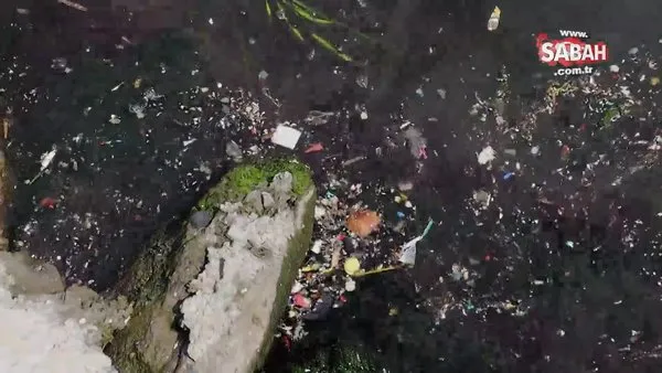 Haliç'te rezalet görüntü! Denizde çöp deryaları oluştu, fareler kol geziyor | Video