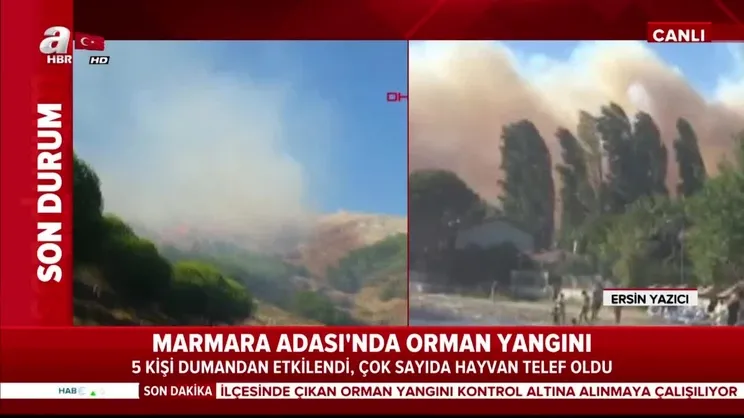 Marmara Adası’nda büyük yangın!