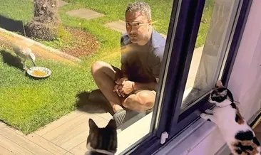 Martının kedilerle imtihanı