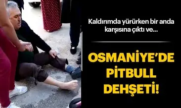 Osmaniye’de pitbull cinsi köpeğin saldırdığı yaşlı adam yaralandı