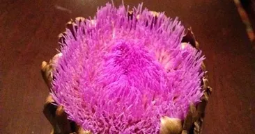 Birbirinden tuhaf meyve ve sebzeler