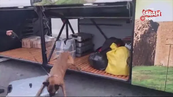 Valizin içerisinden 21 kilogram esrar çıktı | Video