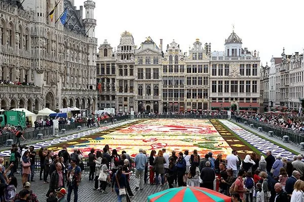 Brüksel’de çiçek halı