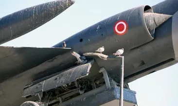 ’Uçan tabut’ kuşlara ev oldu