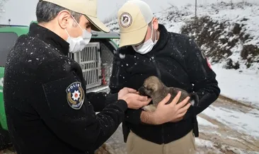 Kocaeli Emniyeti can dostları unutmadı