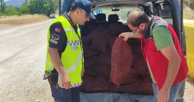 Muğla’da 1500 kilogram kaçak midye imha edildi