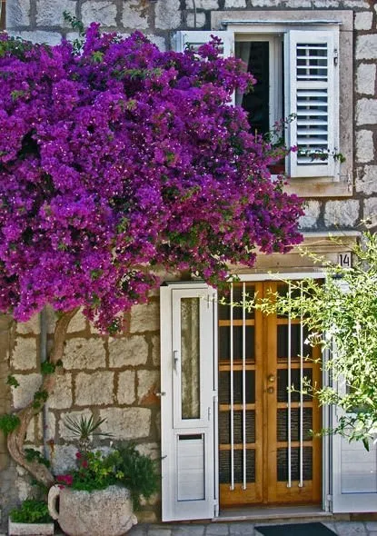 Dalmaçya’daki küçük İtalya: Dubrovnik