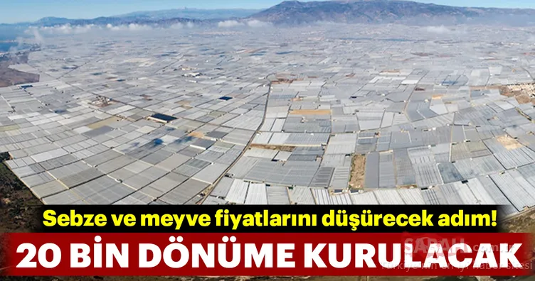 Sebze ve meyve fiyatları için kritik adım! 20 bin dönüme kurulacak...
