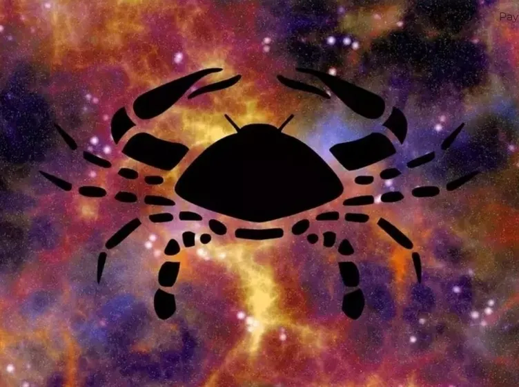 GÜNLÜK BURÇ YORUMLARI 2 KASIM 2023 || Astroloji ilgilileri dikkat! Bugün hangi burcu neler bekliyor?