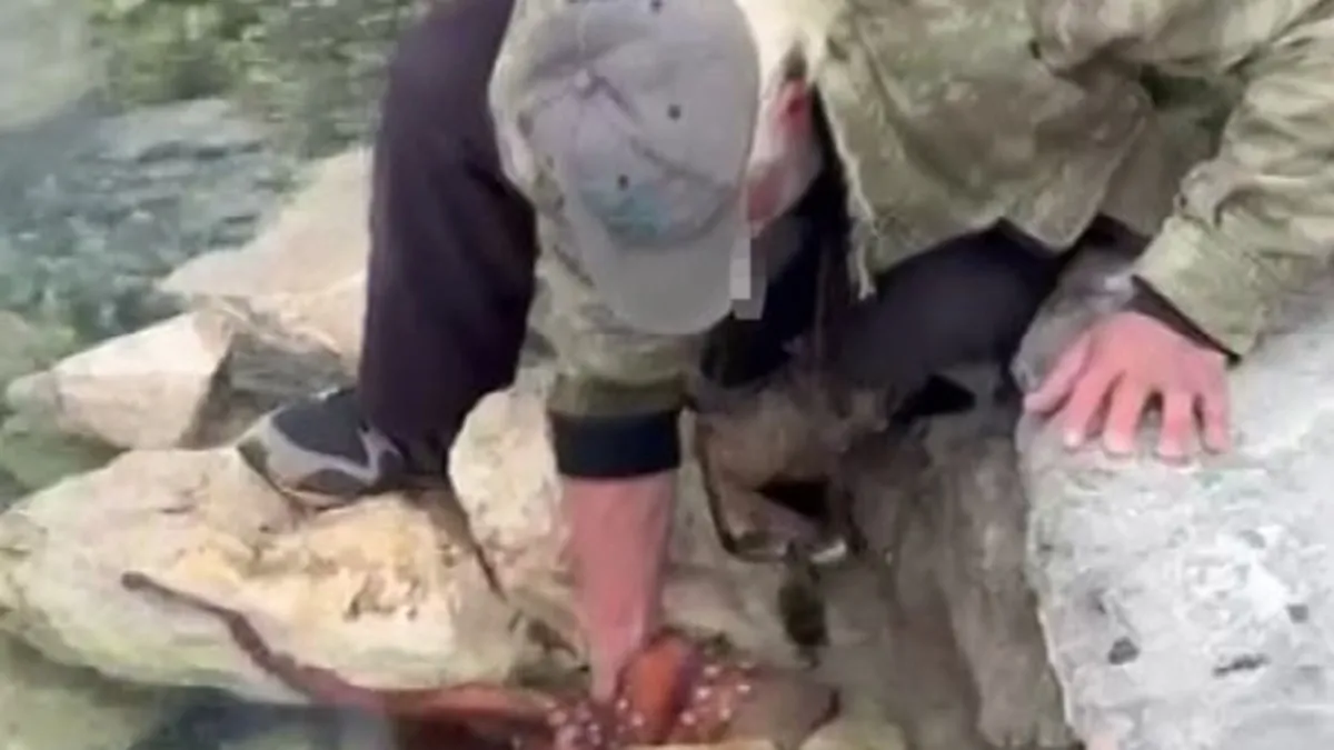 Kayalıktaki dev ahtapotu elleriyle avladı: O anlar kamerada! Kayalıktaki dev ahtapotu elleriyle avladı: O anlar kamerada!