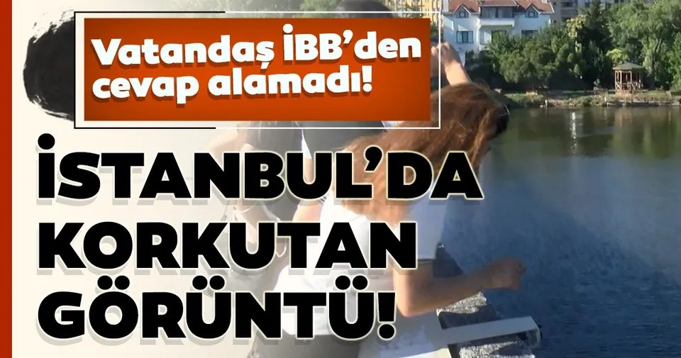 kucukcekmece golu nde olu baliklar