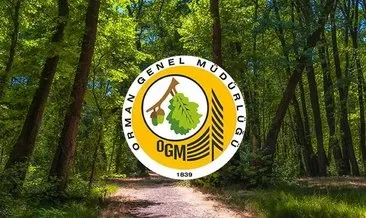 Orman Genel Müdürlüğü 249 orman mühendisi alacak