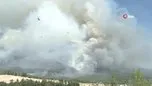 Denizli’de orman yangını