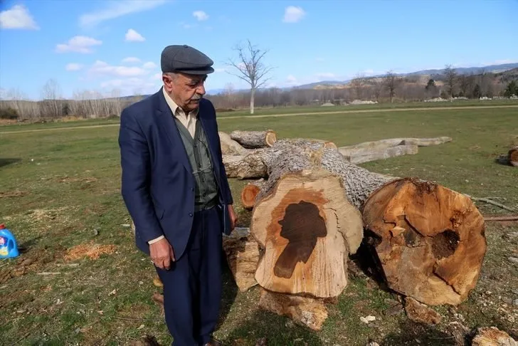 Ağaç gövdesinden kadın silüeti çıktı!