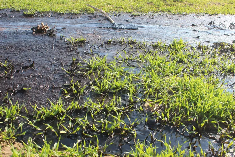 O ilimizi yine heyecan sardı: Su ararken petrol buldu!