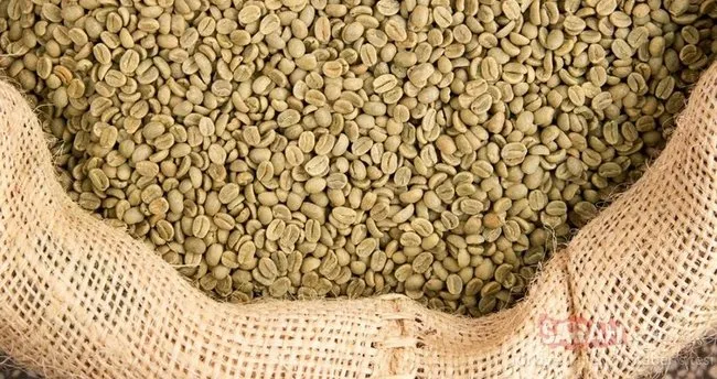 Yeşil Kahve Faydaları Nelerdir? Yeşil Kahve Neye İyi Gelir, Zayıflatır Mı, Kimler Kullanamaz?