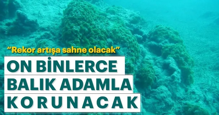 Antalya’da balık adamlar sualtı kültür mirasını koruyacak