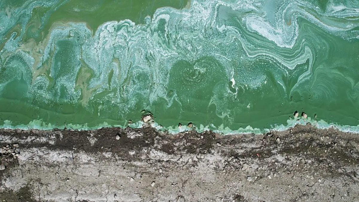 İstanbul’a su sağlayan barajda korkutan görüntü İstanbul’a su sağlayan barajda korkutan görüntü