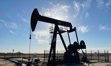 4 saha için petrol arama ruhsatı