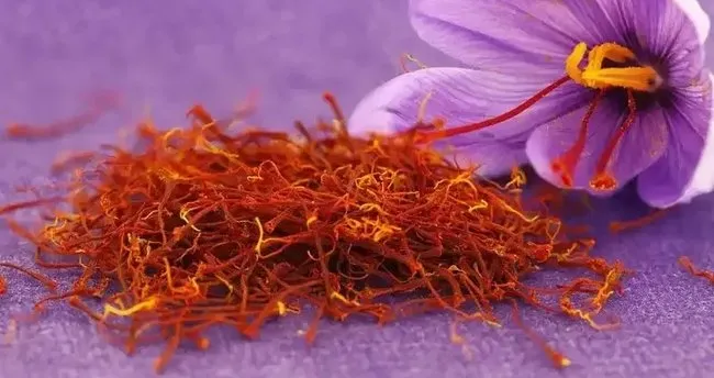 Safran Hangi Yemeklerde Kullanılır? Safran En Çok Neye Yakışır?