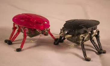 Hızlı ve çevik robot böcek geliştirildi! Görenleri şaşkına çeviriyor!
