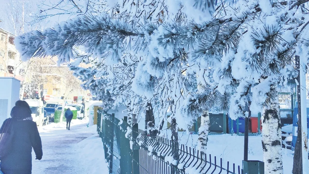 Doğu’da Sibirya soğuğu