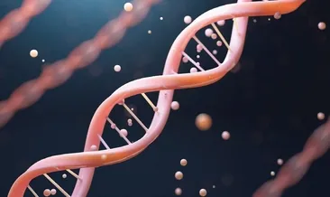 Uzun yaşamın sırrı genlerde saklı