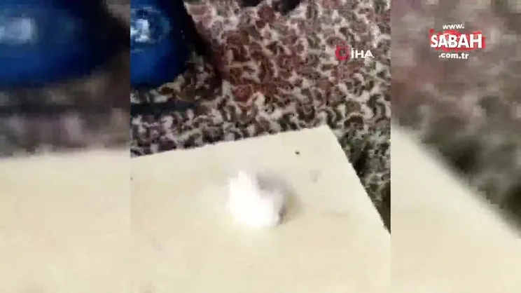 Kayseri'de uyuşturucu operasyonu | Video