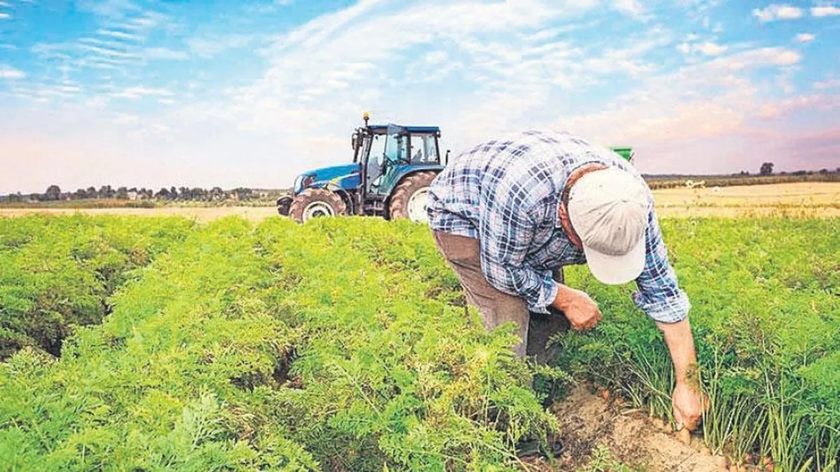 Tarımsal destekleme 119 milyon lirayı aştı