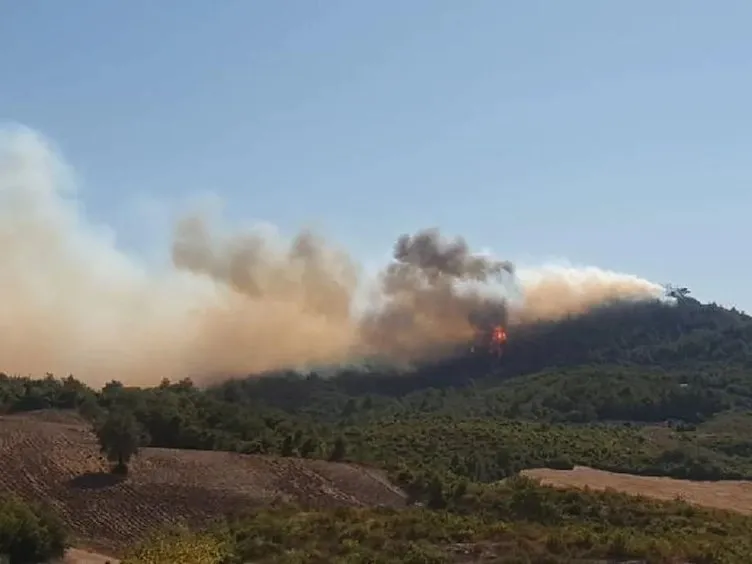 SON DAKİKA: İstanbul’da nerede yangın çıktı, söndürüldü mü, son durum ne? İstanbul Sultangazi Kent Ormanı’nda yangın mı çıktı?