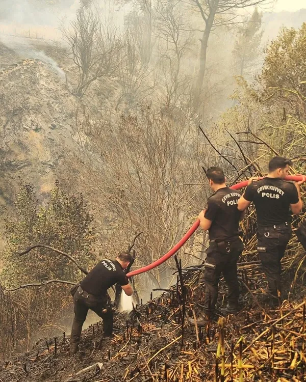 orman-yanginin-da-zarar-goren-alan-500-hektara-cikti-1751380381164.jpg