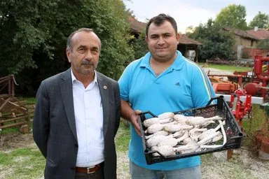 Bu mantar altından daha değerli