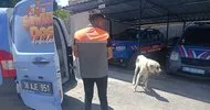 Köpeğine otomobilini çektiren kişiye 10 bin lira ceza