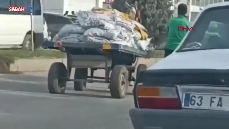 Şanlıurfa’da ata eziyet kamerada | Video