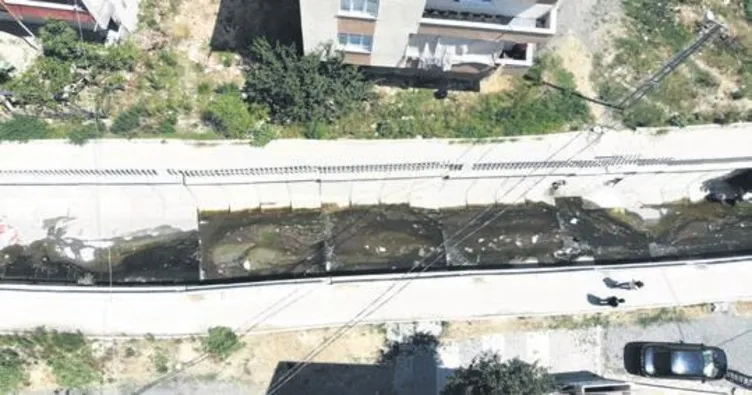 Avcılar’da Batı Nil virüsü paniği