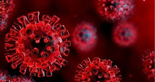 son dakika 17 haziran koronavirus tablosu paylasildi 17 haziran korona tablosu ile bugunku turkiye guncel vaka sayisi vefat sayisi kac oldu son dakika corona virusu haberleri son dakika haberler